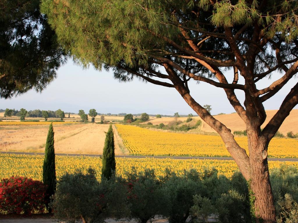 Agriturismo Peretti Fonteblanda Ngoại thất bức ảnh