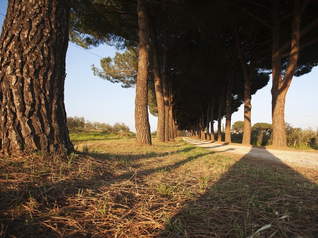Agriturismo Peretti Fonteblanda Ngoại thất bức ảnh